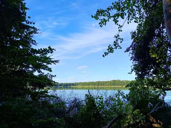 202508260-41 - Tauchowsee bei Alt Schwerin, Mecklenburgische Seenplatte, Mecklenburg-Vorpommern, Deutschland