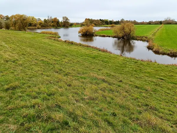 202410210-26 - Teich in der Ilmenau-Luhe-Niederung bei Winsen (Luhe), Lüneburger Heide, Niedersachsen, Deutschland