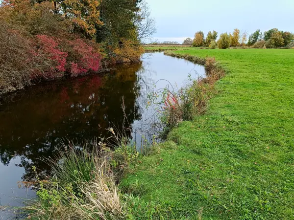 202410210-27 - Teich in der Ilmenau-Luhe-Niederung bei Winsen (Luhe), Lüneburger Heide, Niedersachsen, Deutschland