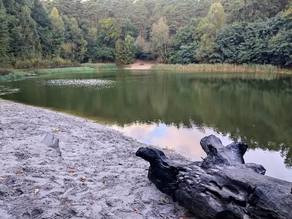 202310140-05 - Teufelssee im Erholungswald Ravensberge, Potsdam, Brandenburg, Deutschland