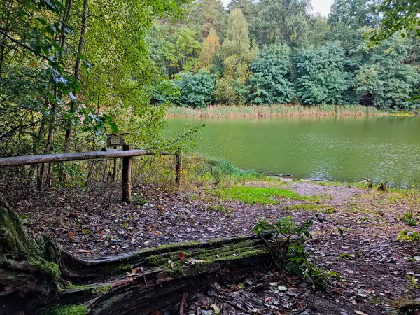 202310140-06 - Teufelssee im Erholungswald Ravensberge, Potsdam, Brandenburg, Deutschland
