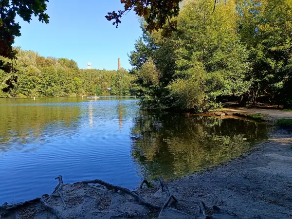 202509270-23 - Teufelssee im Grunewald, Berlin, Deutschland