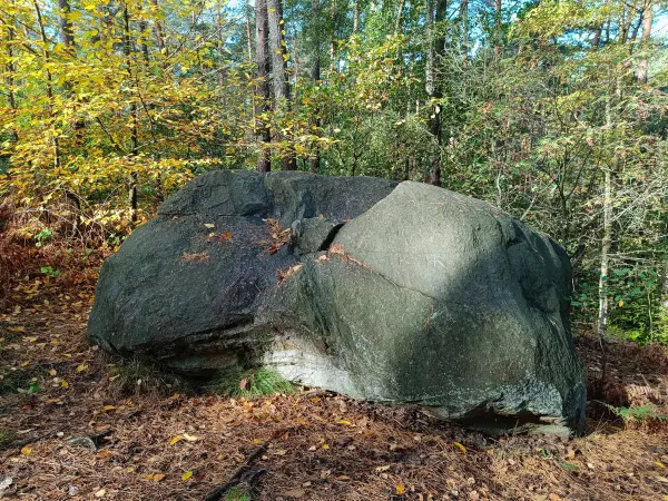 202610140-05 - Teufelsstein bei Walddrehna, Lausitz, Brandenburg, Deutschland