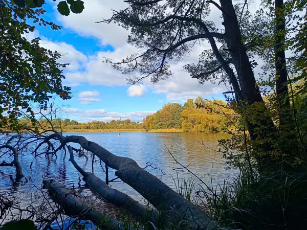202510180-18 - Tiefwarensee bei Amsee, Mecklenburgische Seenplatte, Mecklenburg-Vorpommern, Deutschland