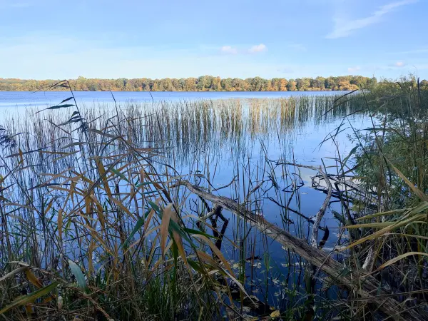 202310300-10 - Tiefwarensee bei Waren, Mecklenburgische Seenplatte, Mecklenburg-Vorpommern, Deutschland
