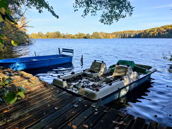 202310300-16 - Tiefwarensee bei Waren, Mecklenburgische Seenplatte, Mecklenburg-Vorpommern, Deutschland