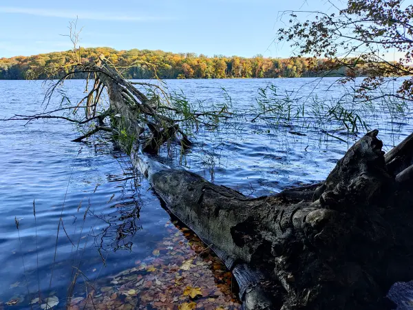 202310300-17 - Tiefwarensee bei Waren, Mecklenburgische Seenplatte, Mecklenburg-Vorpommern, Deutschland