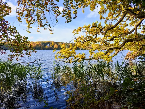 202310300-24 - Tiefwarensee bei Waren, Mecklenburgische Seenplatte, Mecklenburg-Vorpommern, Deutschland