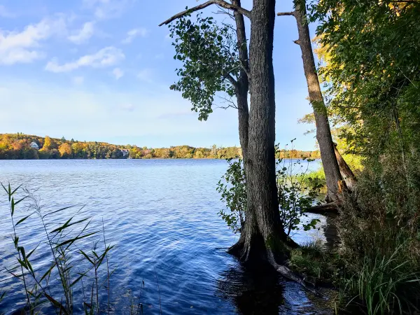 202310300-25 - Tiefwarensee bei Waren, Mecklenburgische Seenplatte, Mecklenburg-Vorpommern, Deutschland