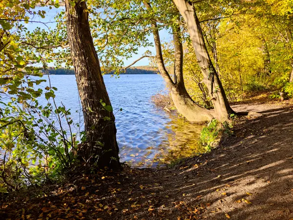 202310300-27 - Tiefwarensee bei Waren, Mecklenburgische Seenplatte, Mecklenburg-Vorpommern, Deutschland