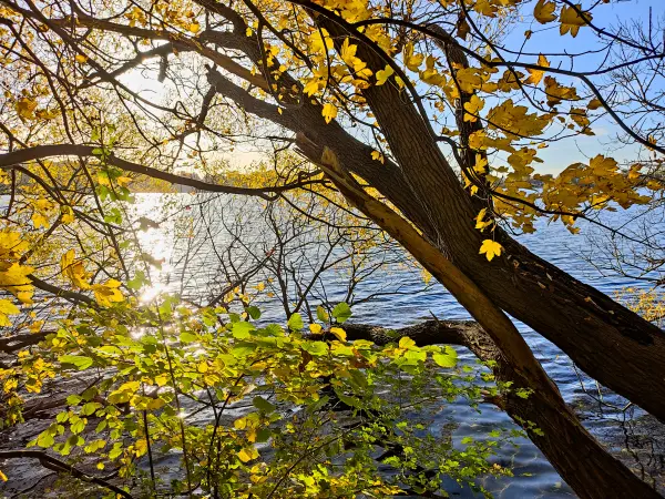 202310300-28 - Tiefwarensee bei Waren, Mecklenburgische Seenplatte, Mecklenburg-Vorpommern, Deutschland