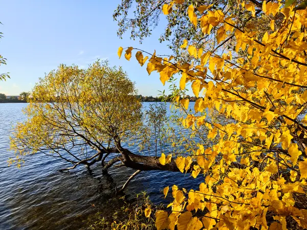 202310300-29 - Tiefwarensee bei Waren, Mecklenburgische Seenplatte, Mecklenburg-Vorpommern, Deutschland