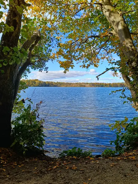 202510180-19 - Tiefwarensee bei Waren, Mecklenburgische Seenplatte, Mecklenburg-Vorpommern, Deutschland