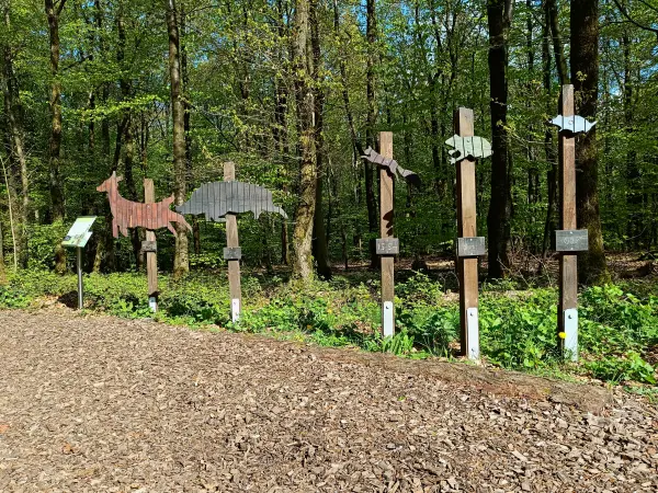 202604210-22 - Tierische Weitspringer im Stadtwald Hagen, Ruhrgebiet, Nordrhein-Westfalen, Deutschland