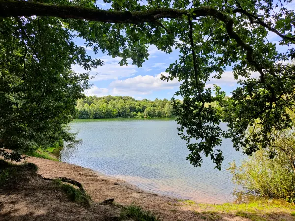 202308160-07 - Tillysee bei Wardenburg, Oldenburger Land, Niedersachsen, Deutschland