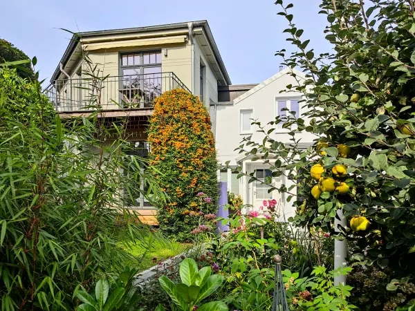202309250-03 - Treppenviertel in Blankenese, Hamburg, Deutschland