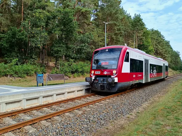 202509100-03 - Triebwagen der Hanseatischen Eisenbahn bei Wesenberg, Mecklenburgische Seenplatte, Mecklenburg-Vorpommern, Deutschland
