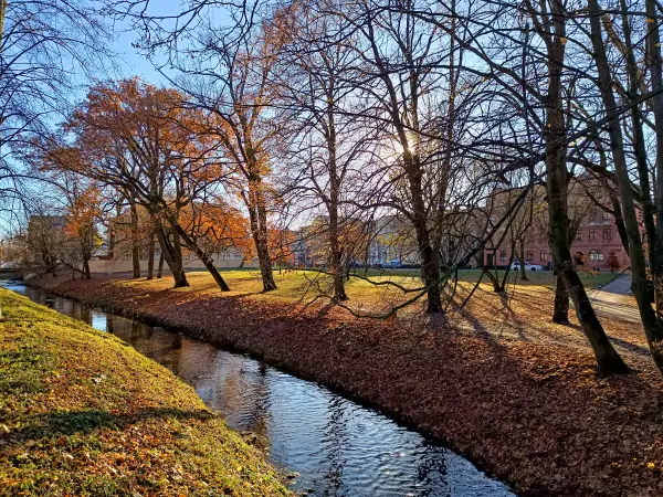 202511210-22 - Uchte in Stendal, Altmark, Sachsen-Anhalt, Deutschland
