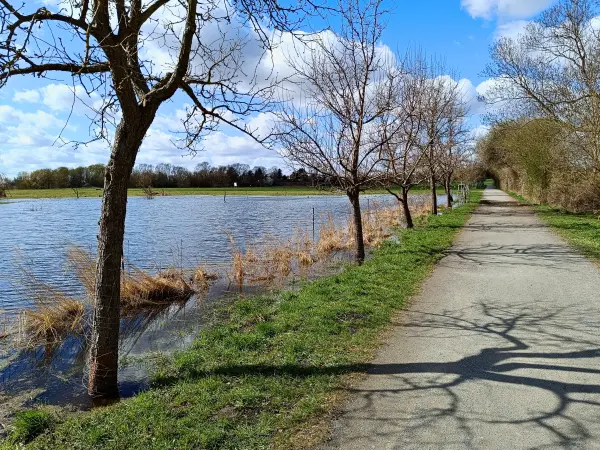 202604060-13 - Überschwemmte Wiesen am Kleinen Zingerteich bei Blankenfelde, Berlin, Deutschland