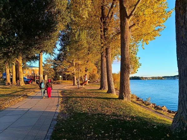 202510180-31 - Uferpromenade an der Binnenmüritz in Waren, Mecklenburgische Seenplatte, Mecklenburg-Vorpommern, Deutschland