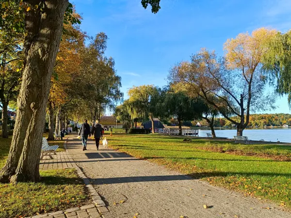 202510130-22 - Uferpromenade in Krakow am See, Mecklenburgische Seenplatte, Mecklenburg-Vorpommern, Deutschland