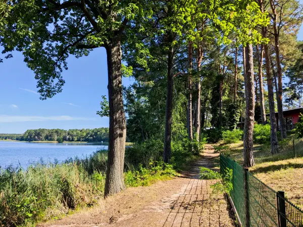 202309160-13 - Uferweg am Großn Glubigsee bei Wendisch Rietz, Seenland Oder-Spree, Brandenburg, Deutschland