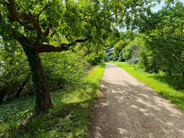 202509130-04 - Uferweg am Jungfernsee, Potsdam, Brandenburg, Deutschland