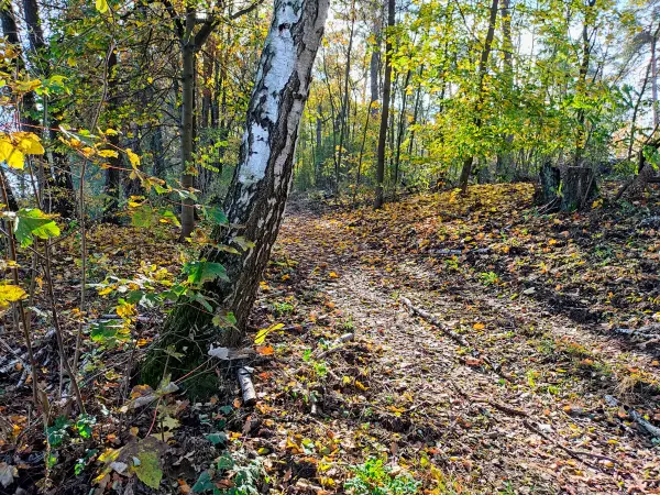 202311130-23 - Uferweg am Seddinsee bei Müggelheim, Berlin, Deutschland