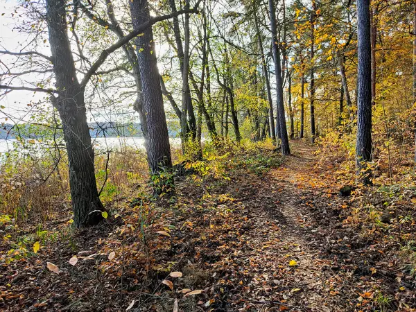 202311130-30 - Uferweg am Seddinsee bei Müggelheim, Berlin, Deutschland
