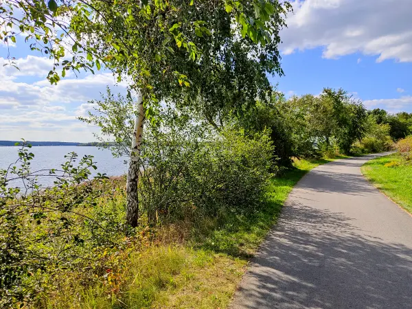 202309150-09 - Uferweg am Senftenberger See bei Kleinkoschen, Lausitz, Brandenburg, Deutschland