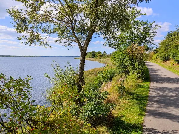 202309150-10 - Uferweg am Senftenberger See bei Kleinkoschen, Lausitz, Brandenburg, Deutschland