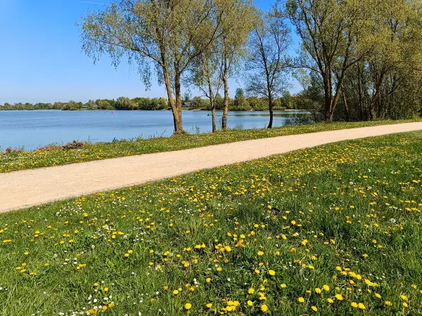 202604250-21 - Uferweg am Südsee bei Xanten, Niederrhein, Nordrhein-Westfalen, Deutschland