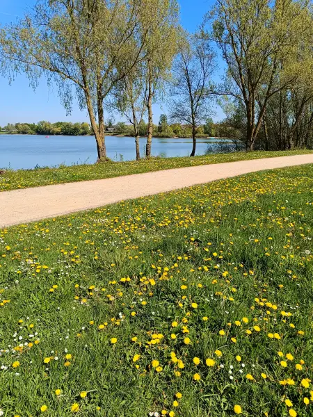 202604250-22 - Uferweg am Südsee bei Xanten, Niederrhein, Nordrhein-Westfalen, Deutschland