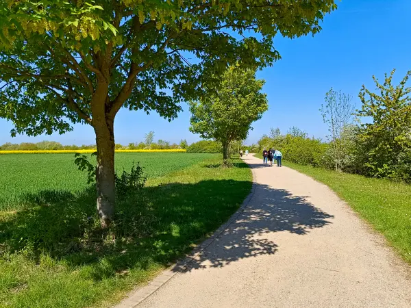 202604250-23 - Uferweg am Südsee bei Xanten, Niederrhein, Nordrhein-Westfalen, Deutschland