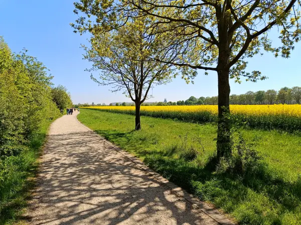 202604250-24 - Uferweg am Südsee bei Xanten, Niederrhein, Nordrhein-Westfalen, Deutschland