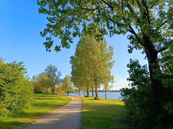 202604250-36 - Uferweg am Südsee bei Xanten, Niederrhein, Nordrhein-Westfalen, Deutschland