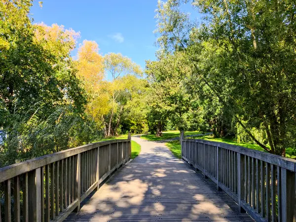 202210040-37 - Uferweg am Südsee in Braunschweig, Niedersachsen, Deutschland