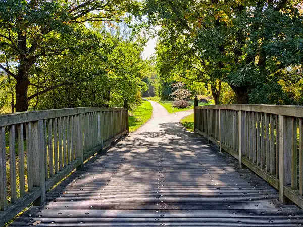 202210040-38 - Uferweg am Südsee in Braunschweig, Niedersachsen, Deutschland