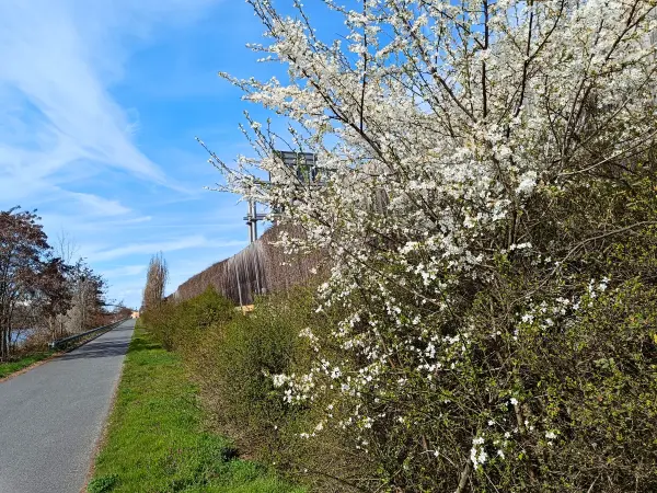 202604040-21 - Uferweg am Teltowkanal in Treptow, Berlin, Deutschland