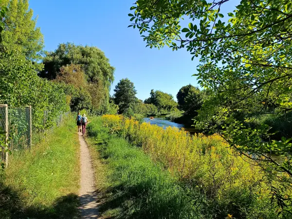 202508160-29 - Uferweg am Templiner Kanal bei Templin, Uckermark, Brandenburg, Deutschland