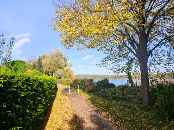 202310300-11 - Uferweg am Tiefwarensee bei Waren, Mecklenburgische Seenplatte, Mecklenburg-Vorpommern, Deutschland