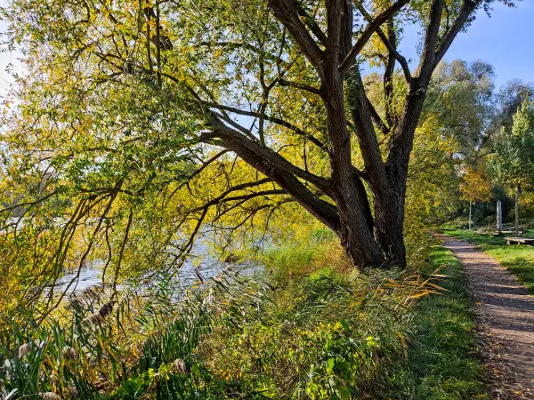 202310300-20 - Uferweg am Tiefwarensee bei Waren, Mecklenburgische Seenplatte, Mecklenburg-Vorpommern, Deutschland
