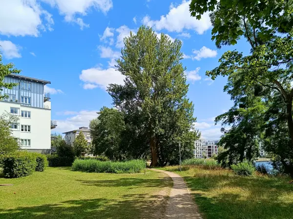 202507030-11 - Uferweg am Ziegelsee in Schwerin, Mecklenburgische Seenplatte, Mecklenburg-Vorpommern, Deutschland