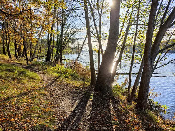 202311130-38 - Uferweg an der Großen Krampe bei Müggelheim, Berlin, Deutschland