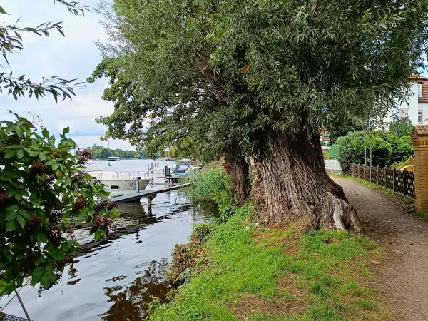 202508300-21 - Uferweg an der Oberhavel in Konradshöhe, Berlin, Deutschland