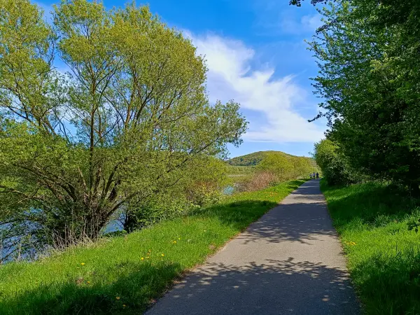 202604260-14 - Uferweg an der Ruhr bei Hattingen, Ruhrgebiet, Nordrhein-Westfalen, Deutschland