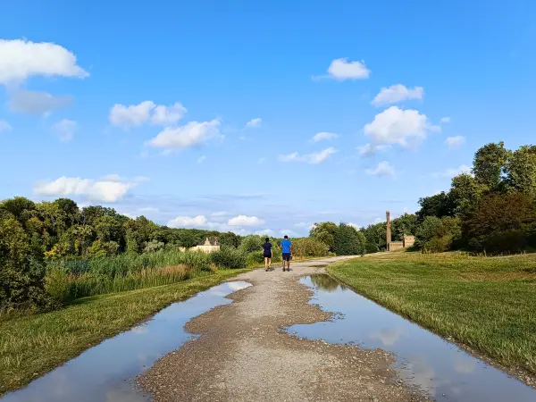 202507150-17 - Uferweg im Park Babelsberg, Potsdam, Brandenburg, Deutschland