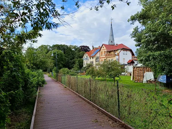 202507300-12 - Uferweg in Geltow, Brandenburg, Deutschland