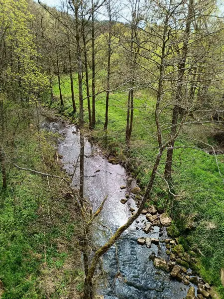 202604270-03 - Urft bei Nettersheim, Eifel, Nordrhein-Westfalen, Deutschland