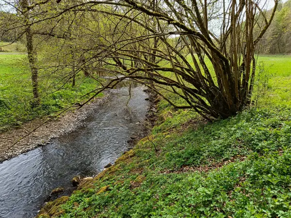 202604270-06 - Urft bei Nettersheim, Eifel, Nordrhein-Westfalen, Deutschland